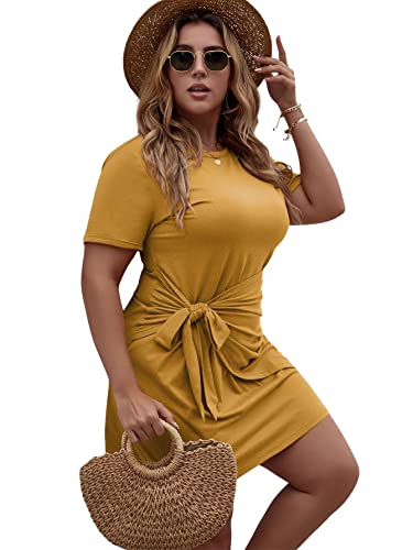 Women's Plus Size Short Sleeve Tie Knot Dress