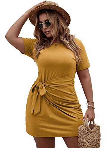 Women's Plus Size Short Sleeve Tie Knot Dress