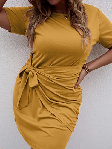 Women's Plus Size Short Sleeve Tie Knot Dress