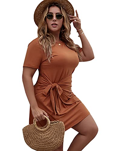 Women's Plus Size Short Sleeve Tie Knot Dress